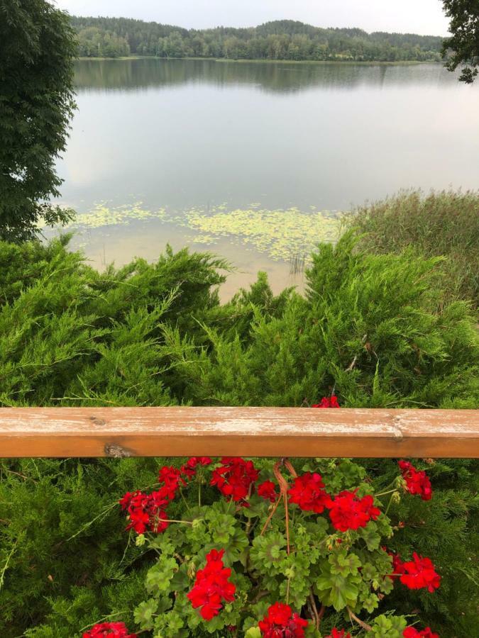 Paukoje Apartamentai Ignalina Buitenkant foto